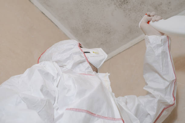 Best Mold Damage Repair  in Leland, MS